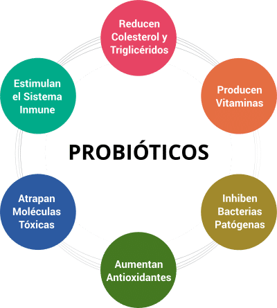 Beneficios de los probióticos en deportistas